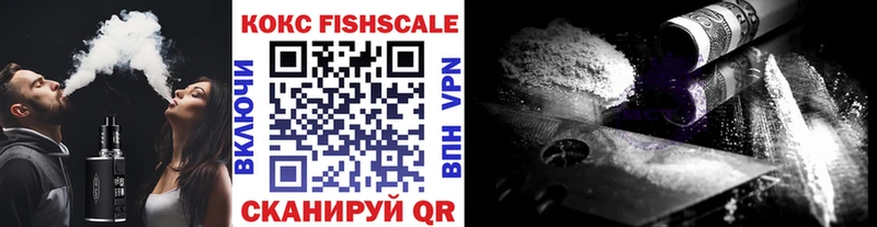COCAIN Fish Scale  Купить где  Сафоново 