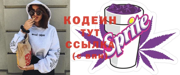 ПСИЛОЦИБИНОВЫЕ ГРИБЫ Горно-Алтайск