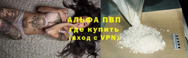 ПСИЛОЦИБИНОВЫЕ ГРИБЫ Горно-Алтайск