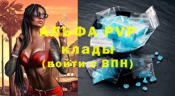 ПСИЛОЦИБИНОВЫЕ ГРИБЫ Горно-Алтайск