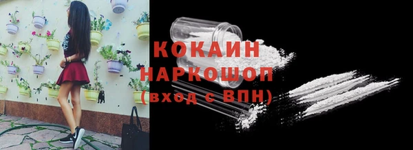 ПСИЛОЦИБИНОВЫЕ ГРИБЫ Горно-Алтайск