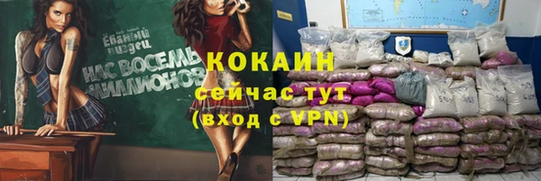 ПСИЛОЦИБИНОВЫЕ ГРИБЫ Горно-Алтайск